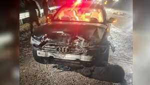 Sinop Belediye Başkanı Gürbüz’ün makam aracı domuz sürüsüne çarptı