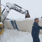 Sivas’ta üzerinde kar biriken çadır çöktü: 8 koyun telef oldu