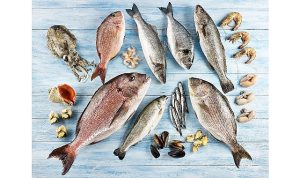 Su eserleri ve hayvansal mamuller ihracatının yüzde 47’si Ege Bölgesi’nden yapıldı