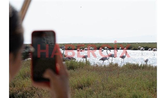 Tabiat ve lezzet tutkunları bu cinsleri çok sevecek