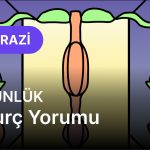 Terazi Burcu     23 Kasım 2025,     Günlük  Burç Yorumu