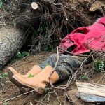 Trabzon’da kestiği ağacın altında kalan kişi yaşamını yitirdi