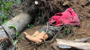 Trabzon’da kestiği ağacın altında kalan kişi yaşamını yitirdi