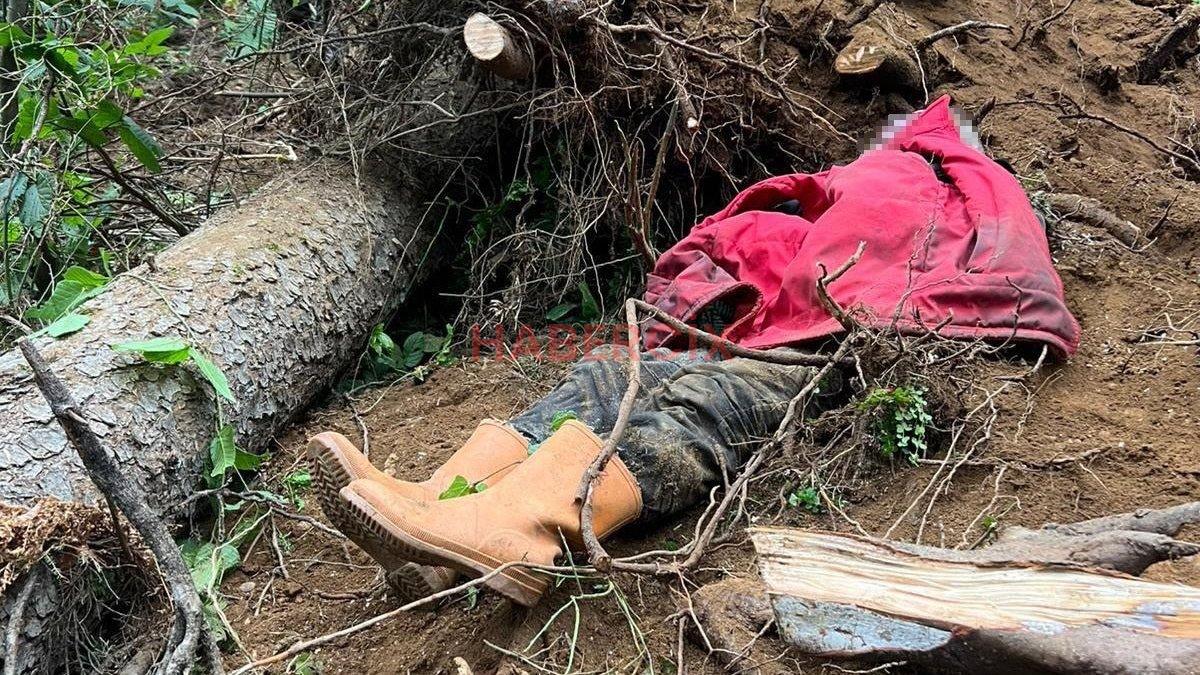 Trabzon’da kestiği ağacın altında kalan kişi yaşamını yitirdi