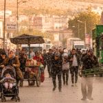 Türkiye’de Sinek İstilası Var! Havadan Kar Değil ‘Bit’ Yağıyor: