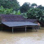 Vietnam’da şiddetli yağışlar sellere yol açtı: Can kaybı 90’a yükseldi