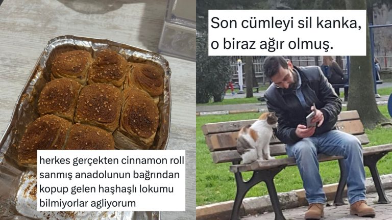 Yerli ve Milli Cinnamon Roll’dan İlişki Koçu Kediye Son 24 Saatin Viral Tweetleri