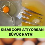Yumurtanın Üzerindeki O Beyaz Şey Aslında Ne? Uzman Diyetisyen “Sakın Atmayın” Diyerek Uyardı!