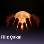 1-7 Aralık Haftası: Planına Sadık Kal