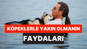 Bilim İnsanları Açıkladı: Köpeklerin Sahibini Yalaması Ruh Sıhhatini Güçlendiriyor