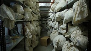 İstanbul’da adliye emanetinde vurgun: Memur 25 kilo altın 55 kilo gümüşle kayıplara karıştı