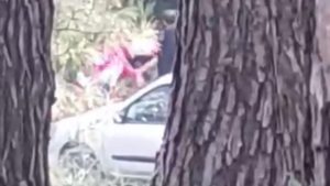 İzmir’de bir kadın ormanlık alanda tekme tokat darbedildi