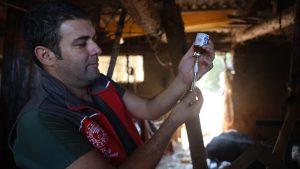 Muğla’da şap hastalığı nedeniyle 11 mahalle karantinaya alındı