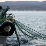 Türkiye, Akdeniz Genel Balıkçılık Kurulu Başkanlığına seçildi