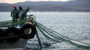Türkiye, Akdeniz Genel Balıkçılık Kurulu Başkanlığına seçildi