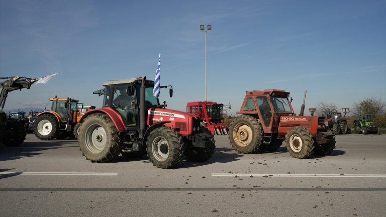 Yunanistan’da yüz binlerce koyun ve keçi itlaf edildi: Çiftçiler isyanda